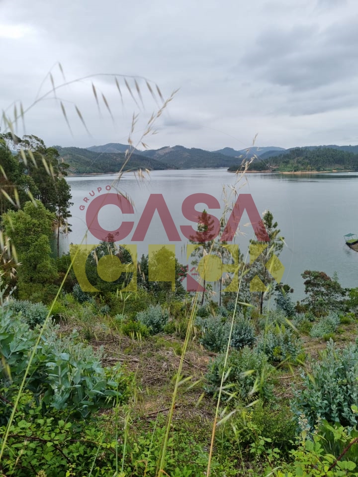 Terreno T3 Para Venda em Ferreira do Z�zere
